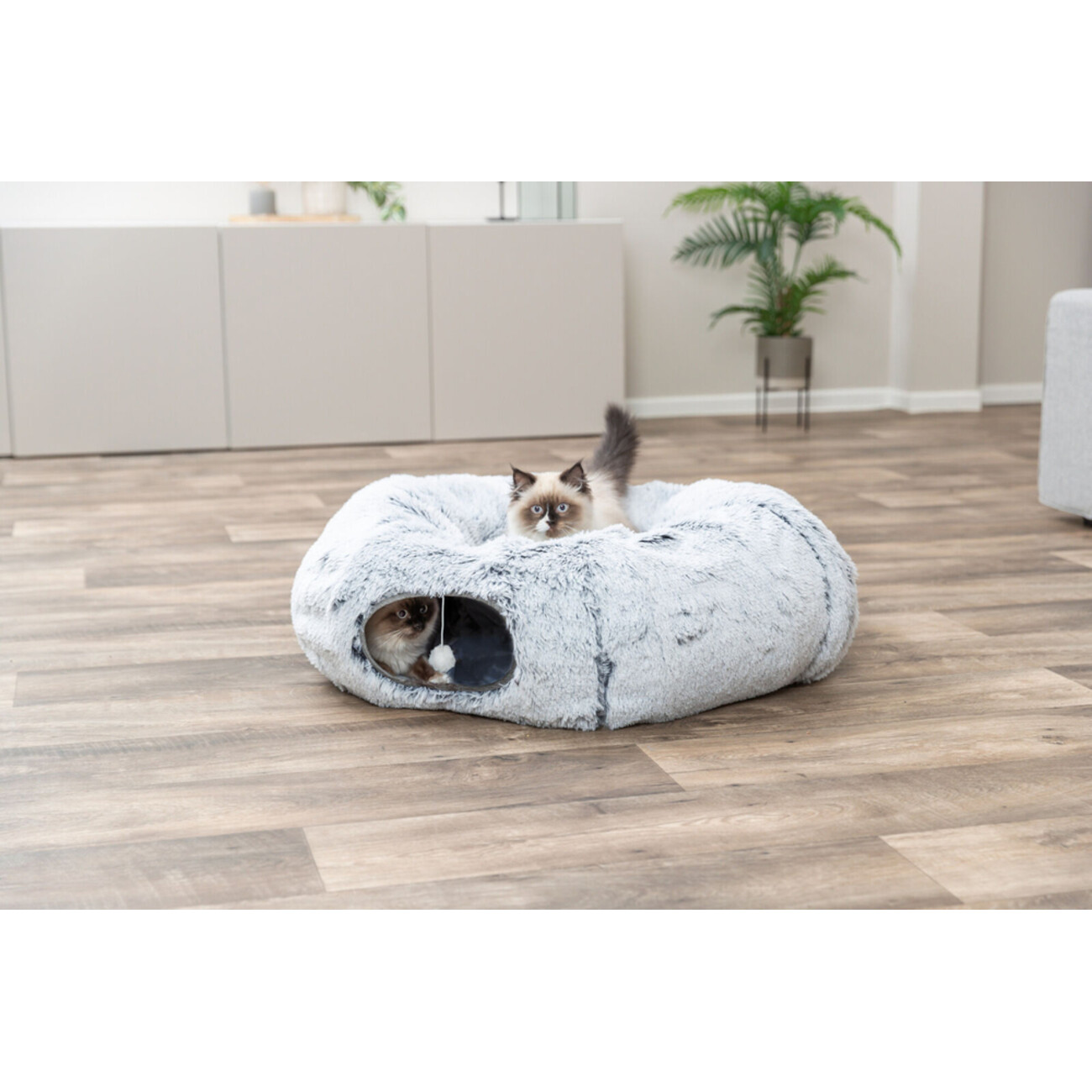 Katzen Spieltunnel Harvey, Katzendonut Bild 7