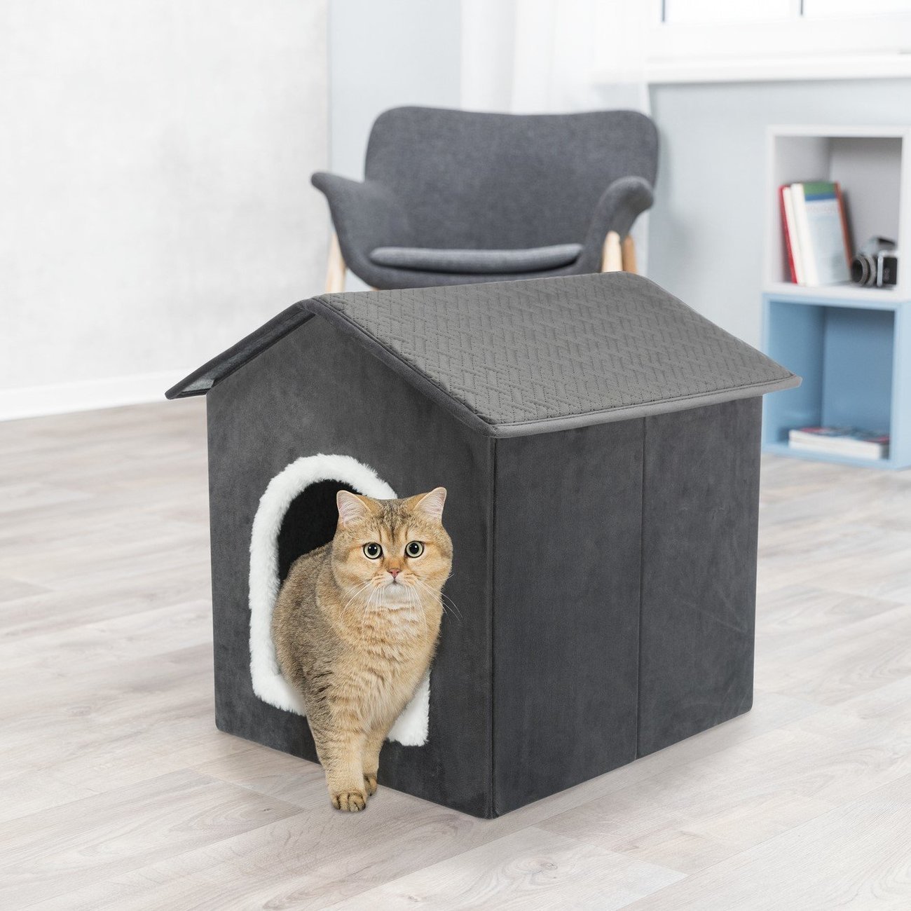 Hundehaus Katzenhaus Livia Bild 2