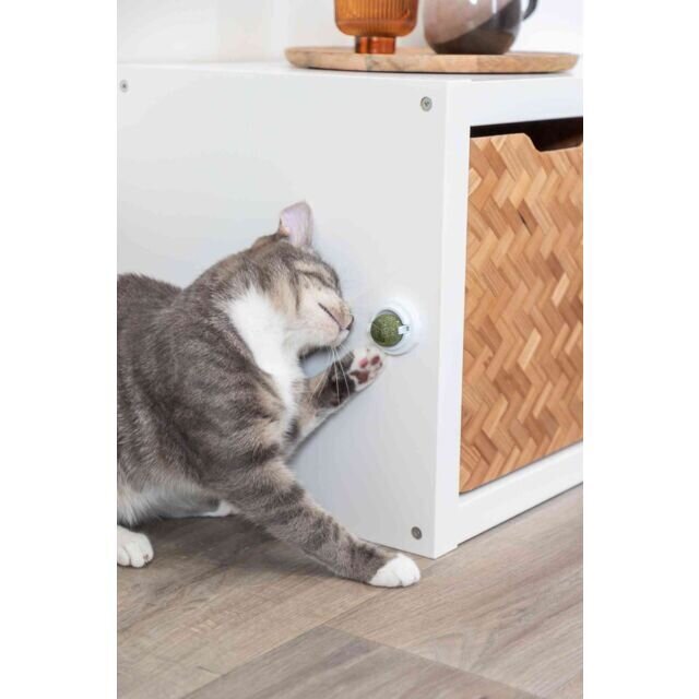 Katzenminze Ball mit Halterung Bild 6