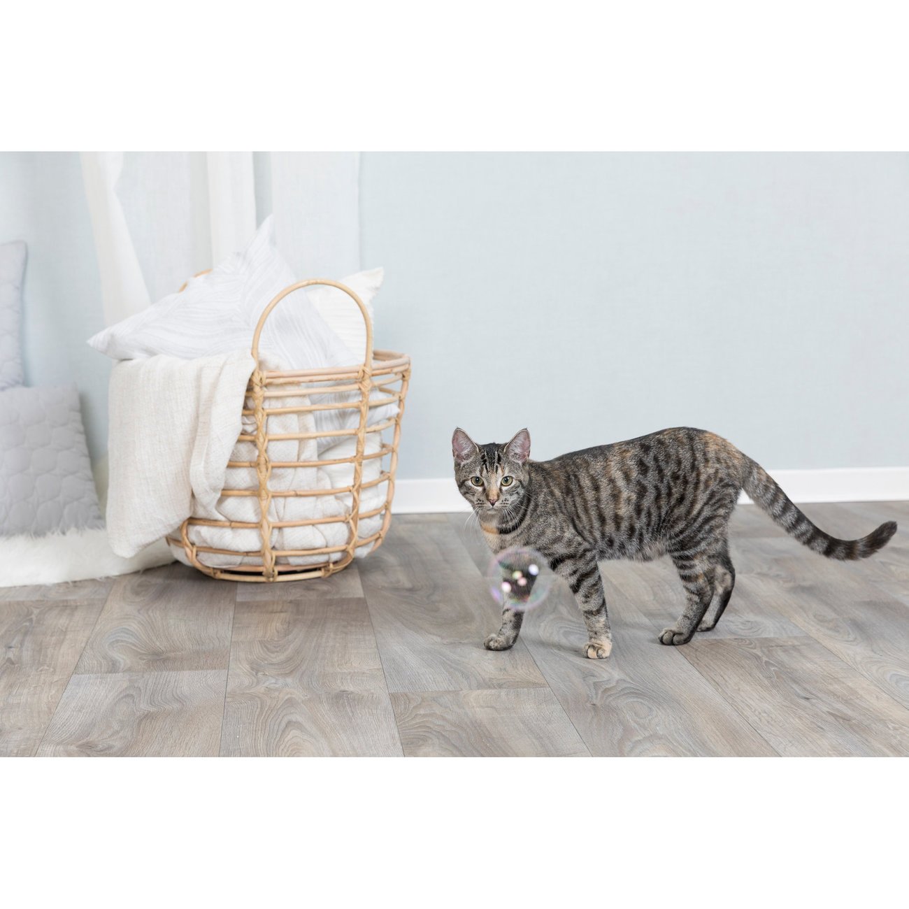 Katzenminze Seifenblasen Bild 4