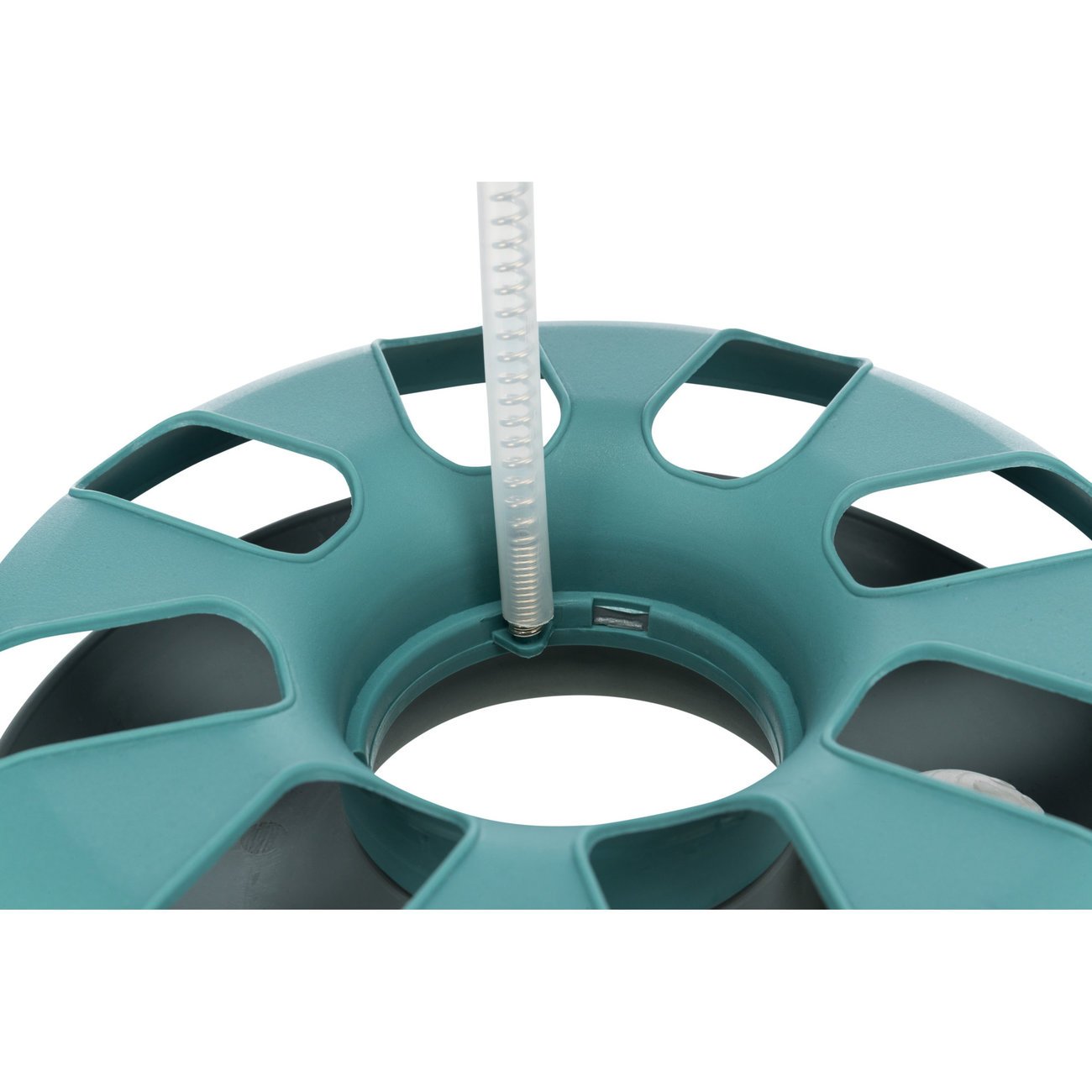 Katzenspielzeug Crazy Circle Bild 4