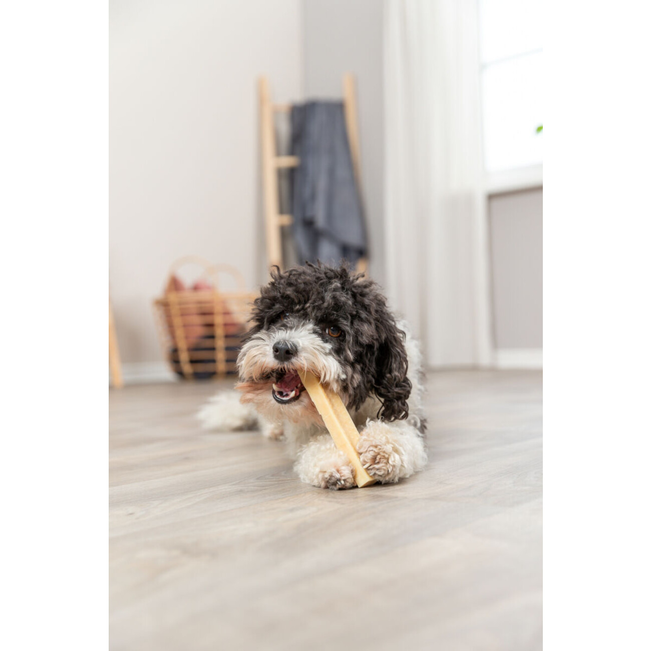 Kaukäse für Hunde Bild 5