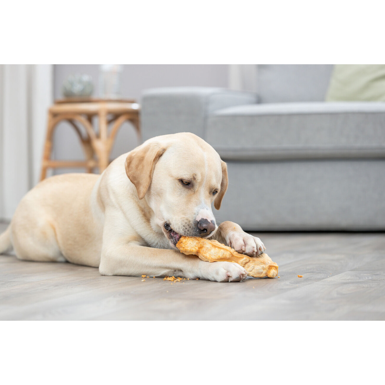 Kaukäse für Hunde Bild 7