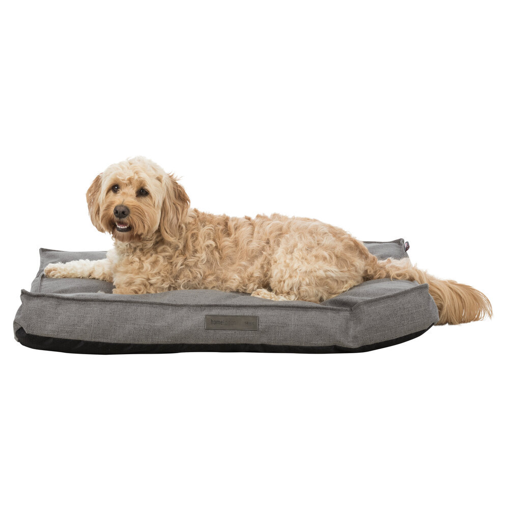 Hundekissen Talis Bild 9