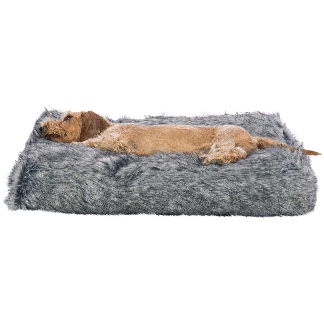 Kissen Yelina für Hund und Katze Bild 2