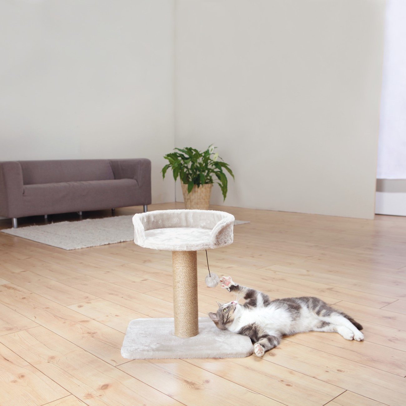 Kleiner Kratzbaum Mica Bild 2