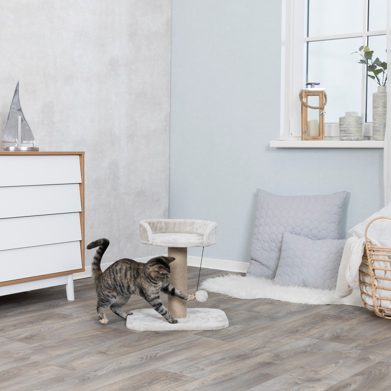 Kleiner Kratzbaum Mica Bild 4