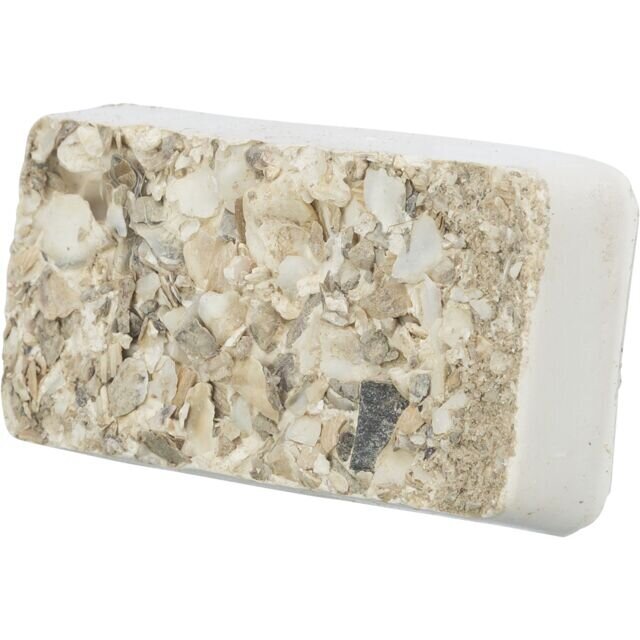 Kleiner Muschel Pickstein für Sittiche und Papageien Bild 3