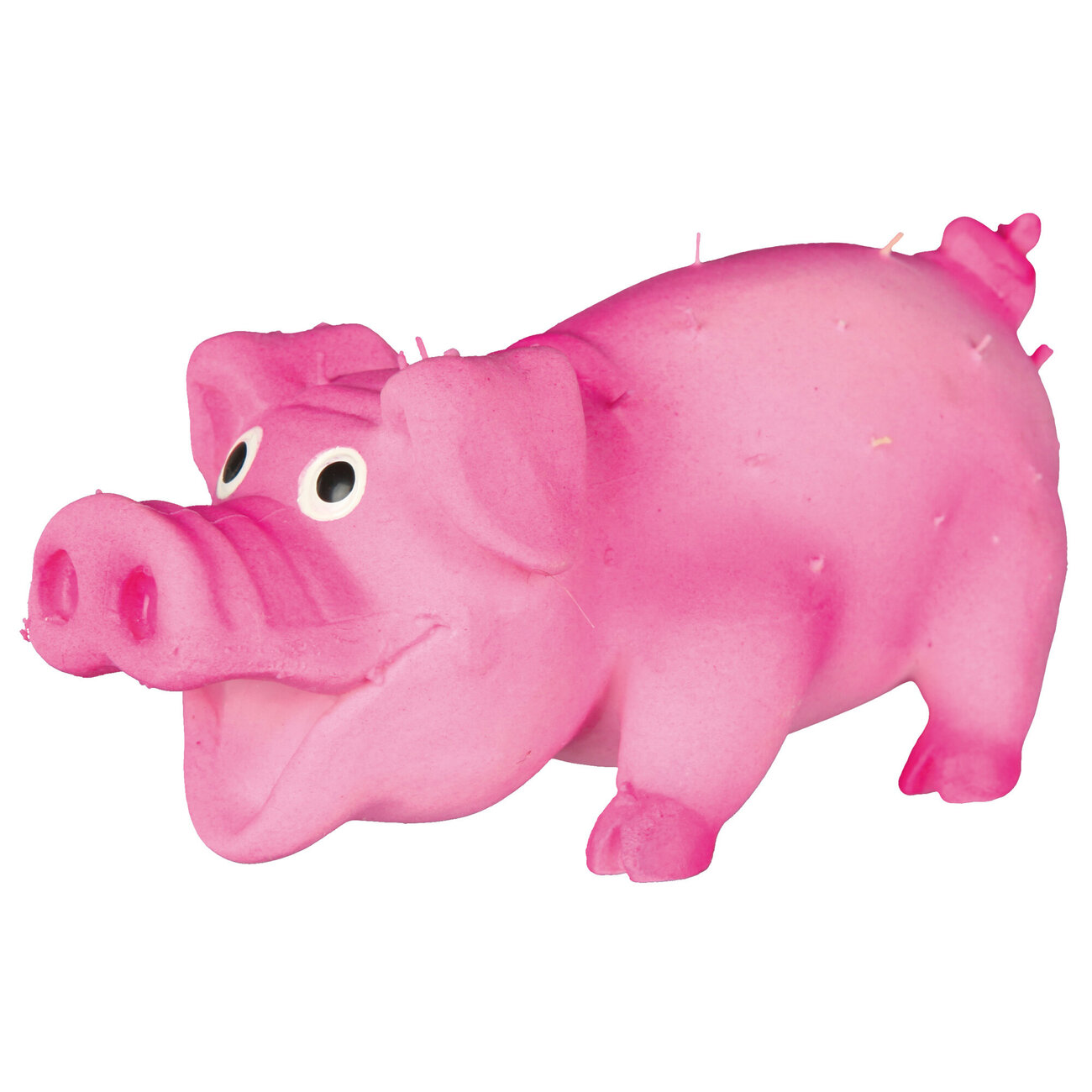 Kleines Borstenschwein aus Latex für Hunde Bild 2