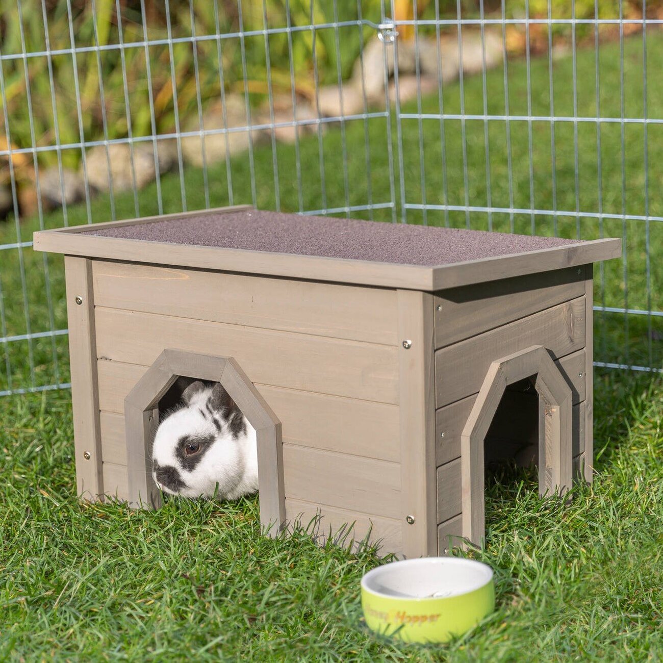 Kleintierhaus mit zwei Eingängen Bild 2