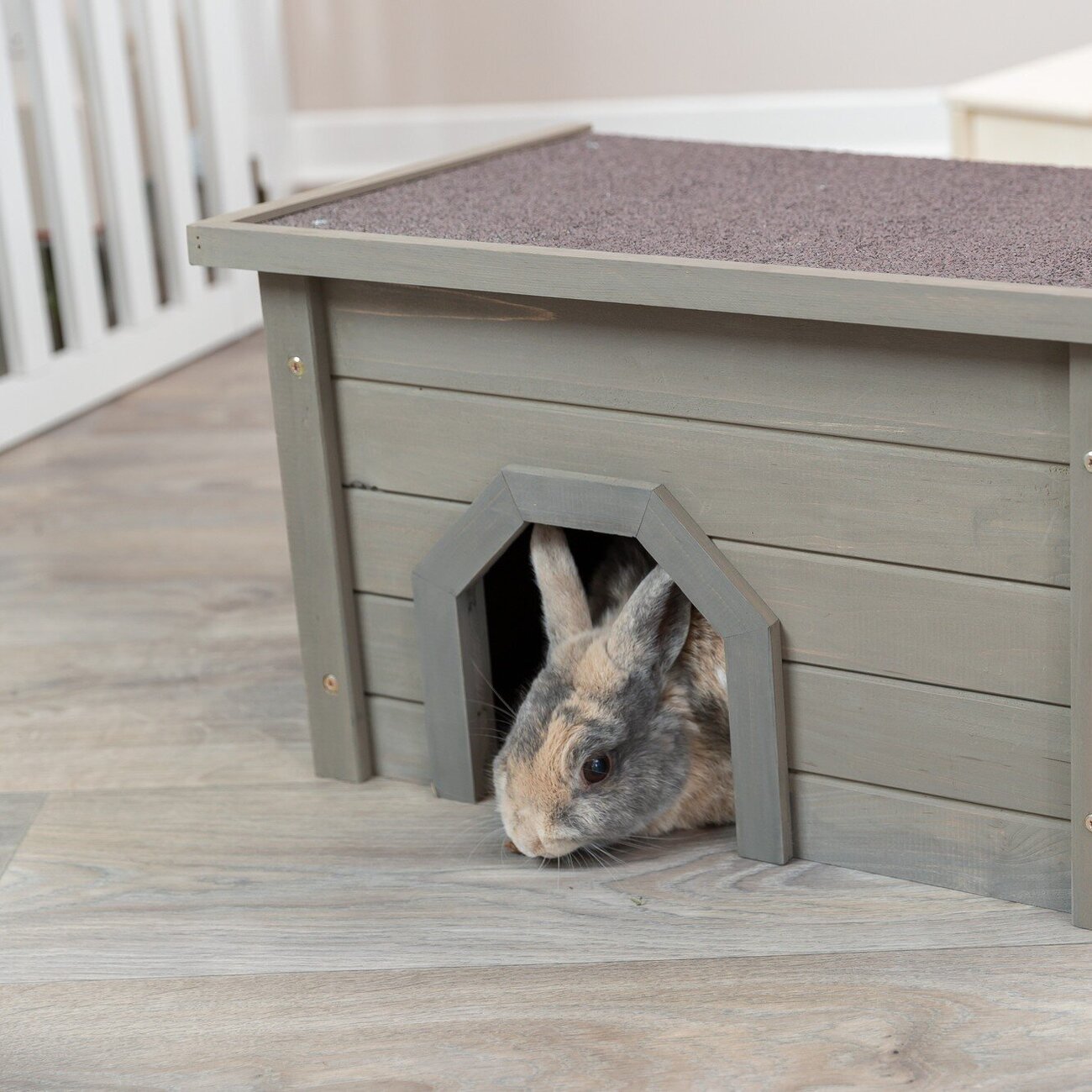 Kleintierhaus mit zwei Eingängen Bild 6