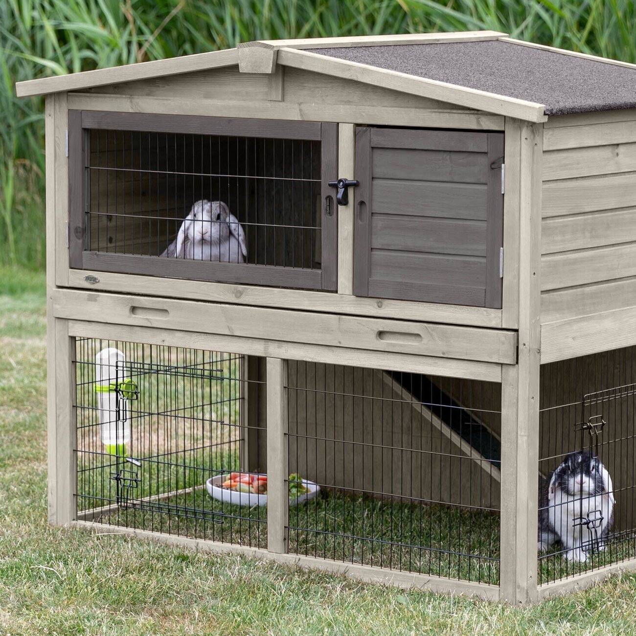 Kleintierstall mit Freilaufgehege Bild 3