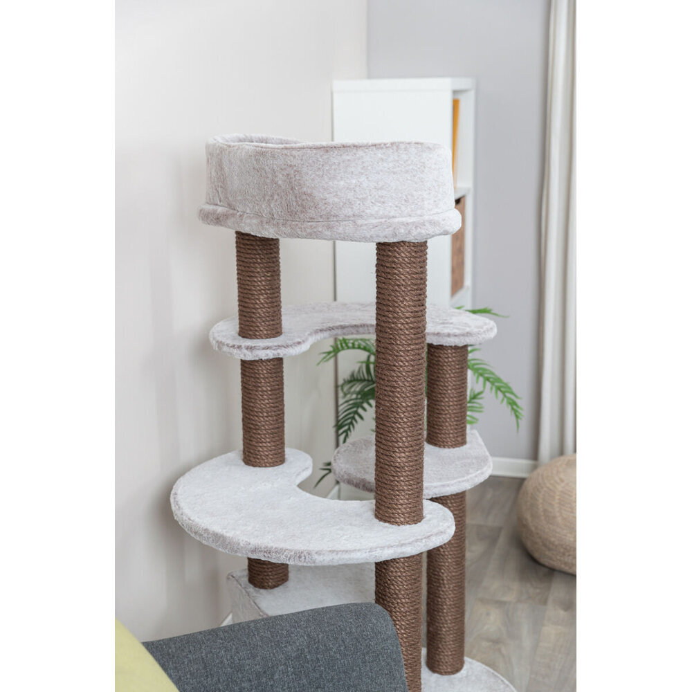 Kratzbaum Afonso Bild 7