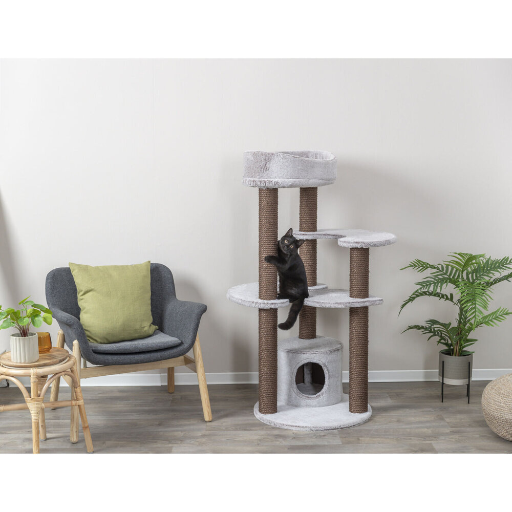 Kratzbaum Afonso Bild 8