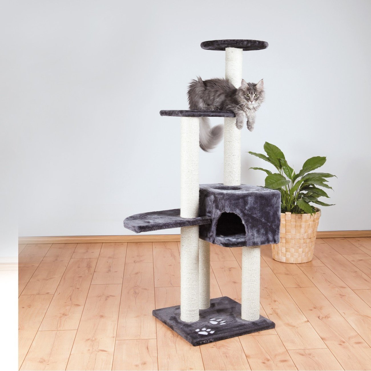 Kratzbaum Alicante Bild 10