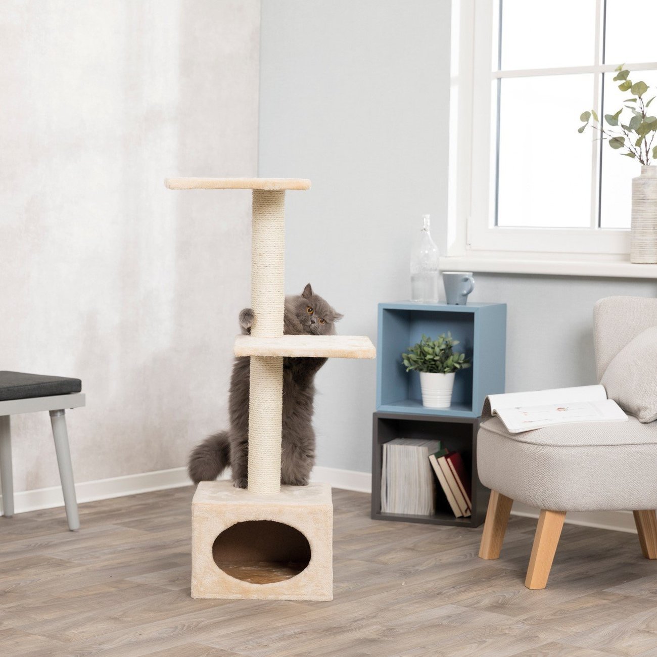 Kratzbaum Badalona Bild 5