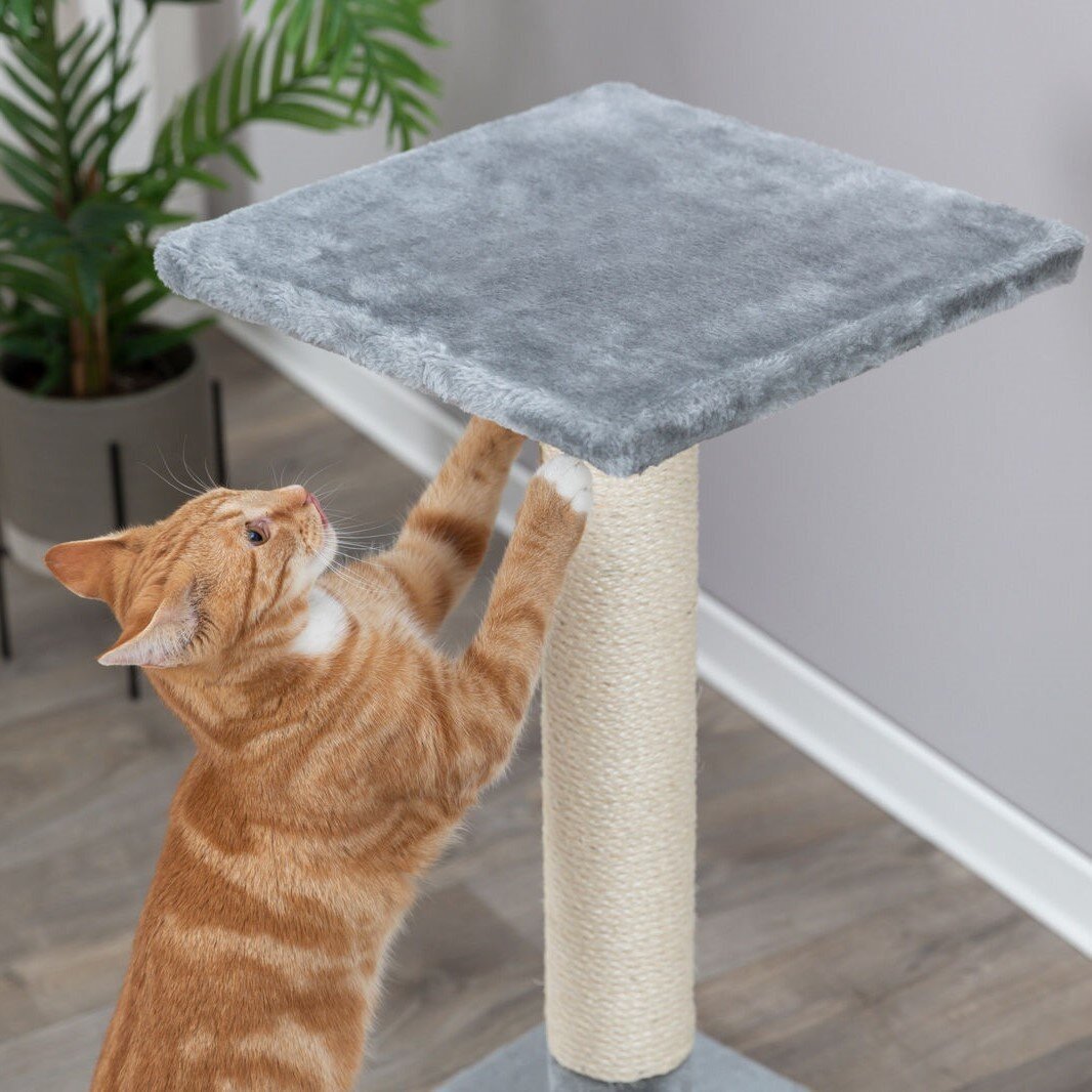 Kratzbaum Baena Bild 2