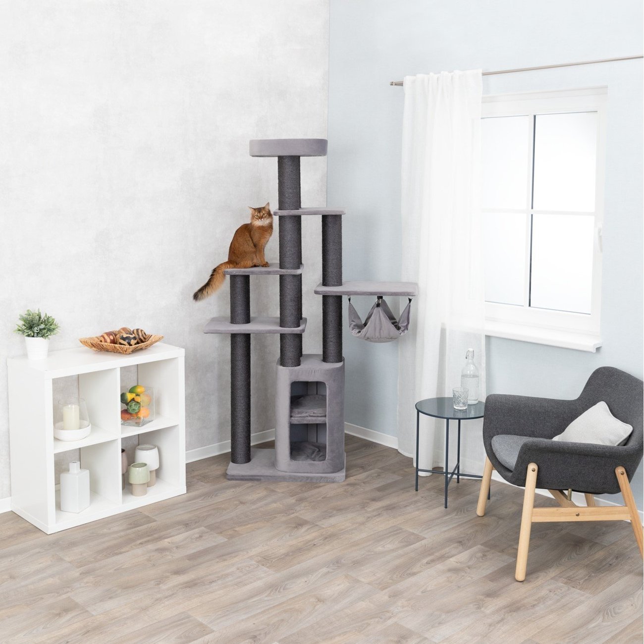 Kratzbaum Cesare Bild 10