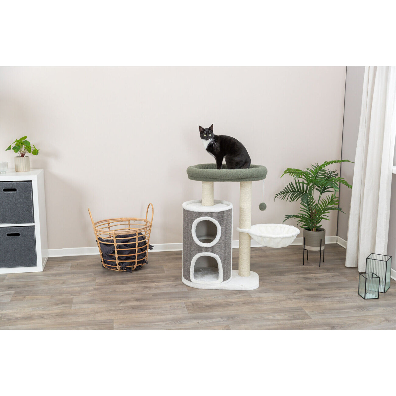 Kratzbaum Dante Bild 2