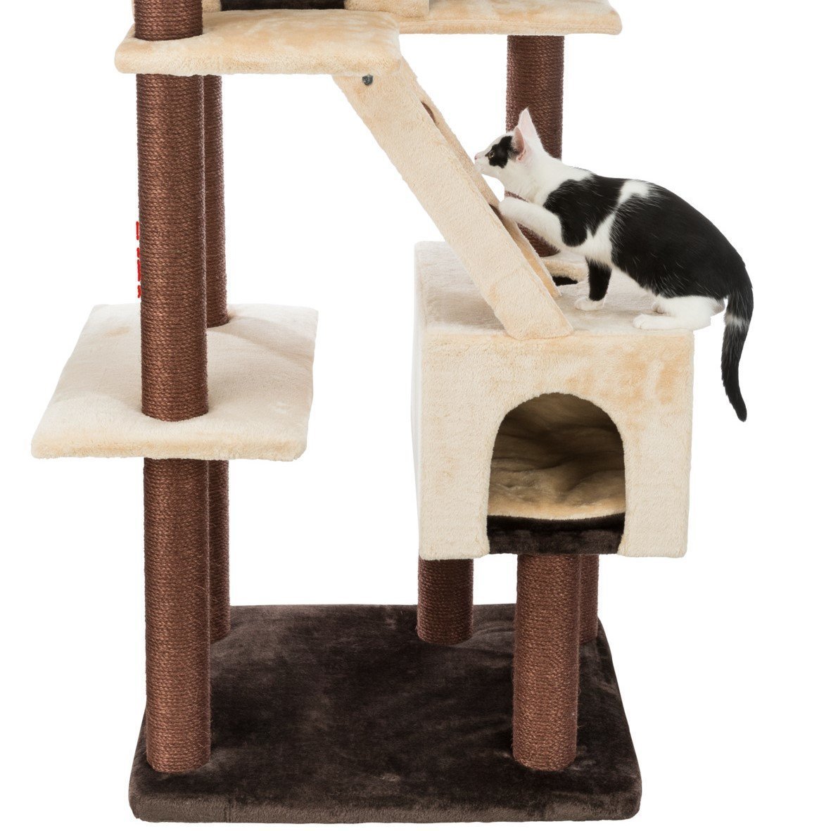 Kratzbaum dunkelbraun Felicitas Bild 12