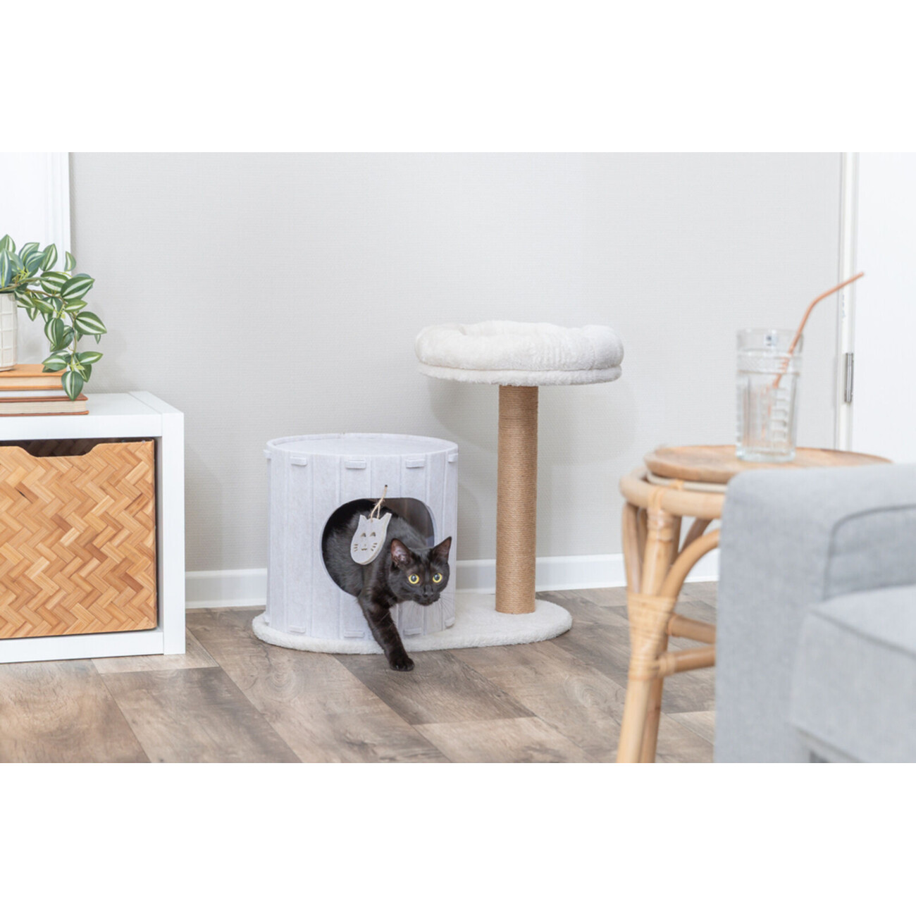 TRIXIE Kratzbaum Filia - Luxus für deine Katze | tiierisch.de Bild 2
