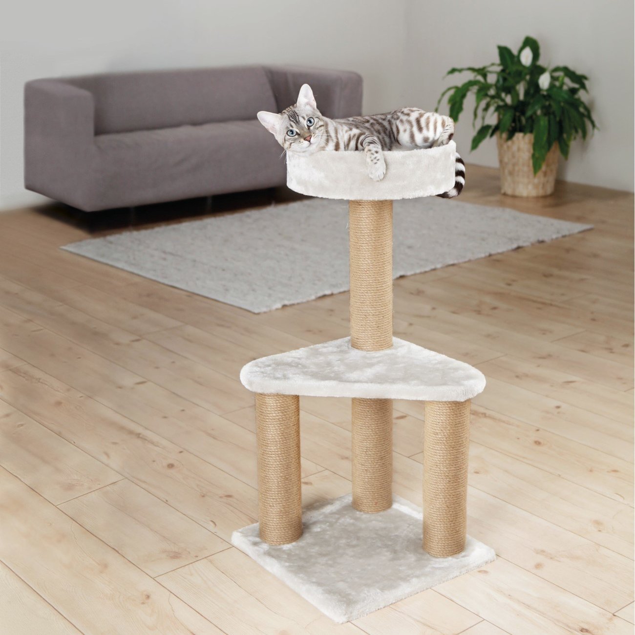 Kratzbaum Ivan Bild 5