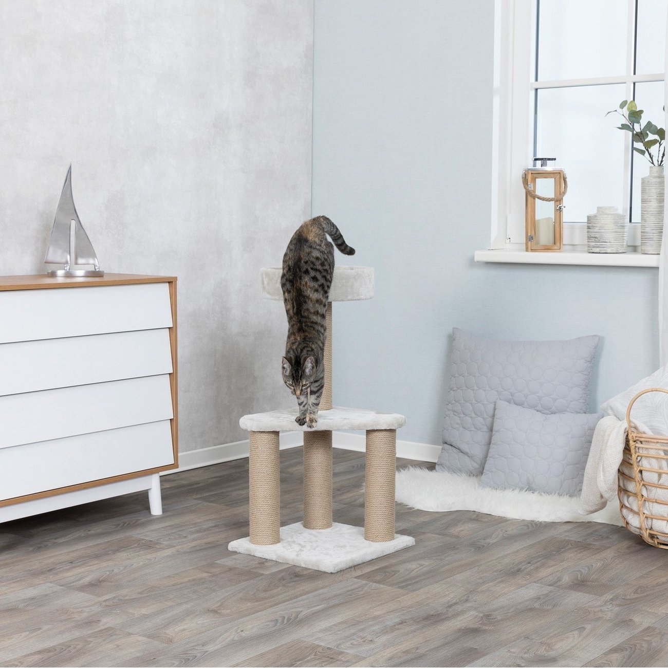 Kratzbaum Ivan Bild 8