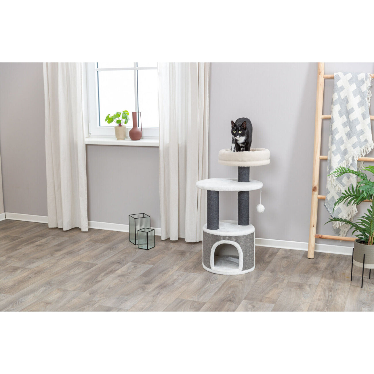 Kratzbaum Marco Bild 2