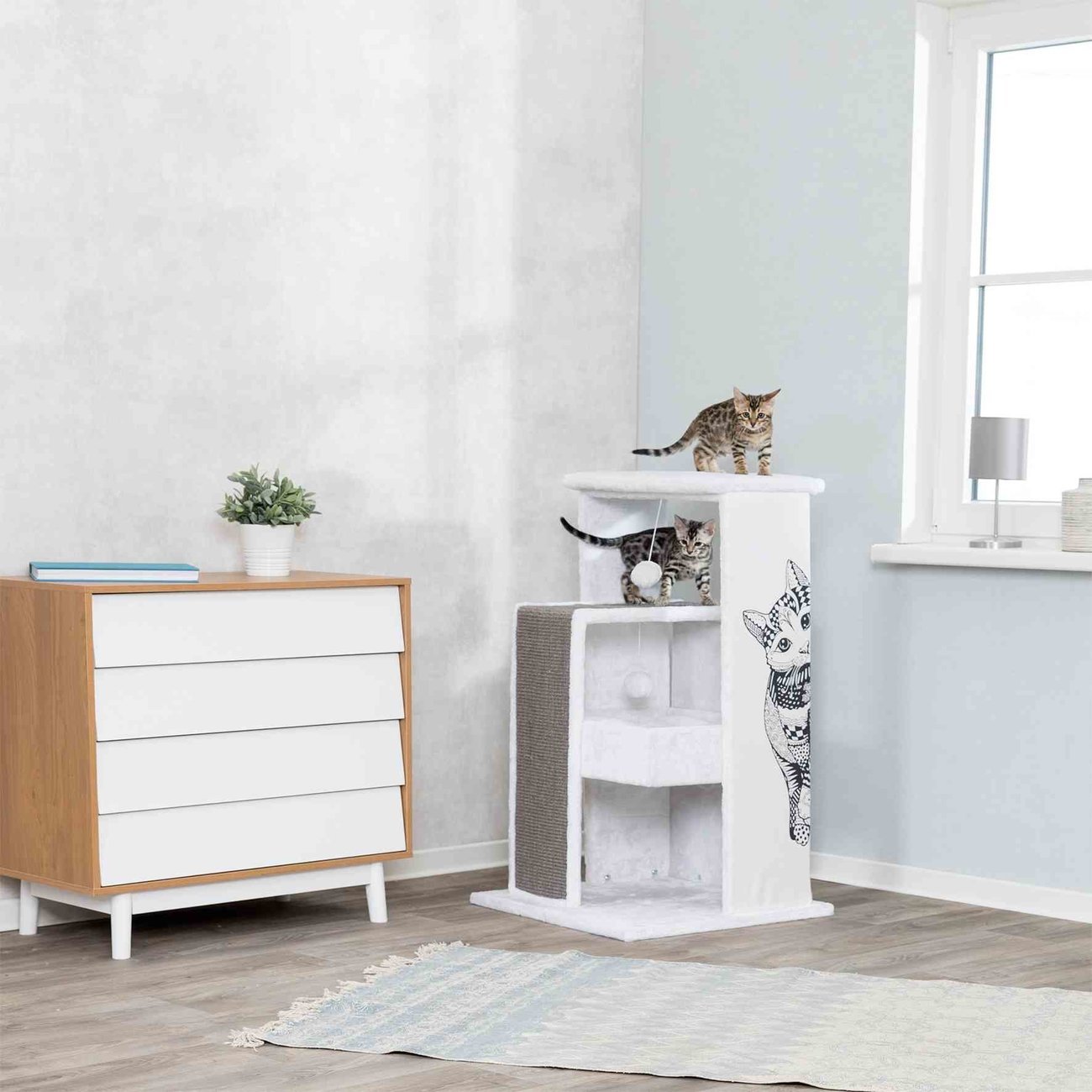 Kratzbaum Maria Bild 3