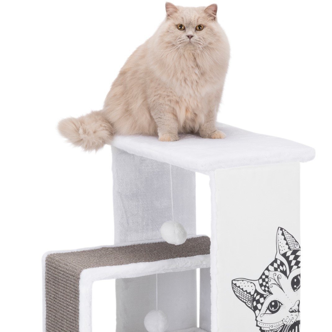 Kratzbaum Maria Bild 4