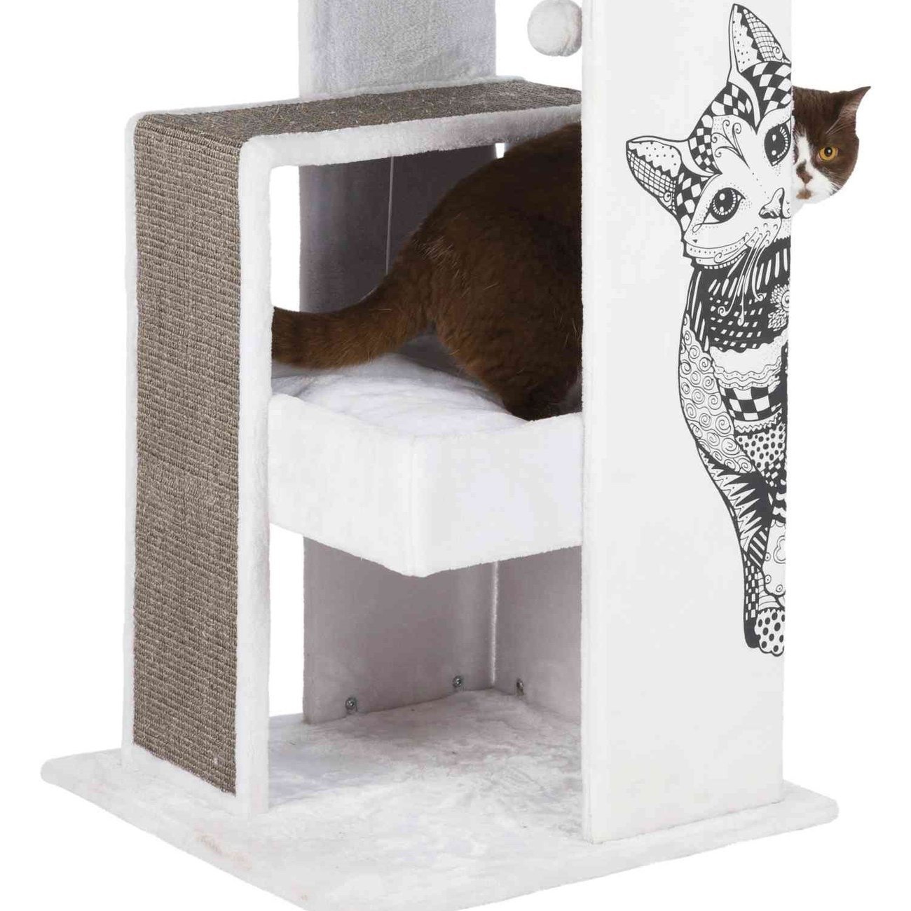 Kratzbaum Maria Bild 6