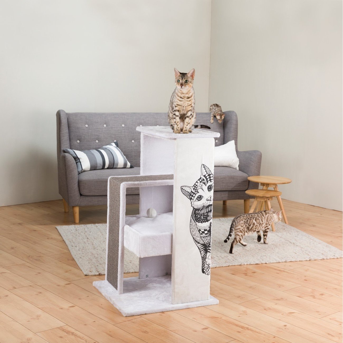 Kratzbaum Maria Bild 2