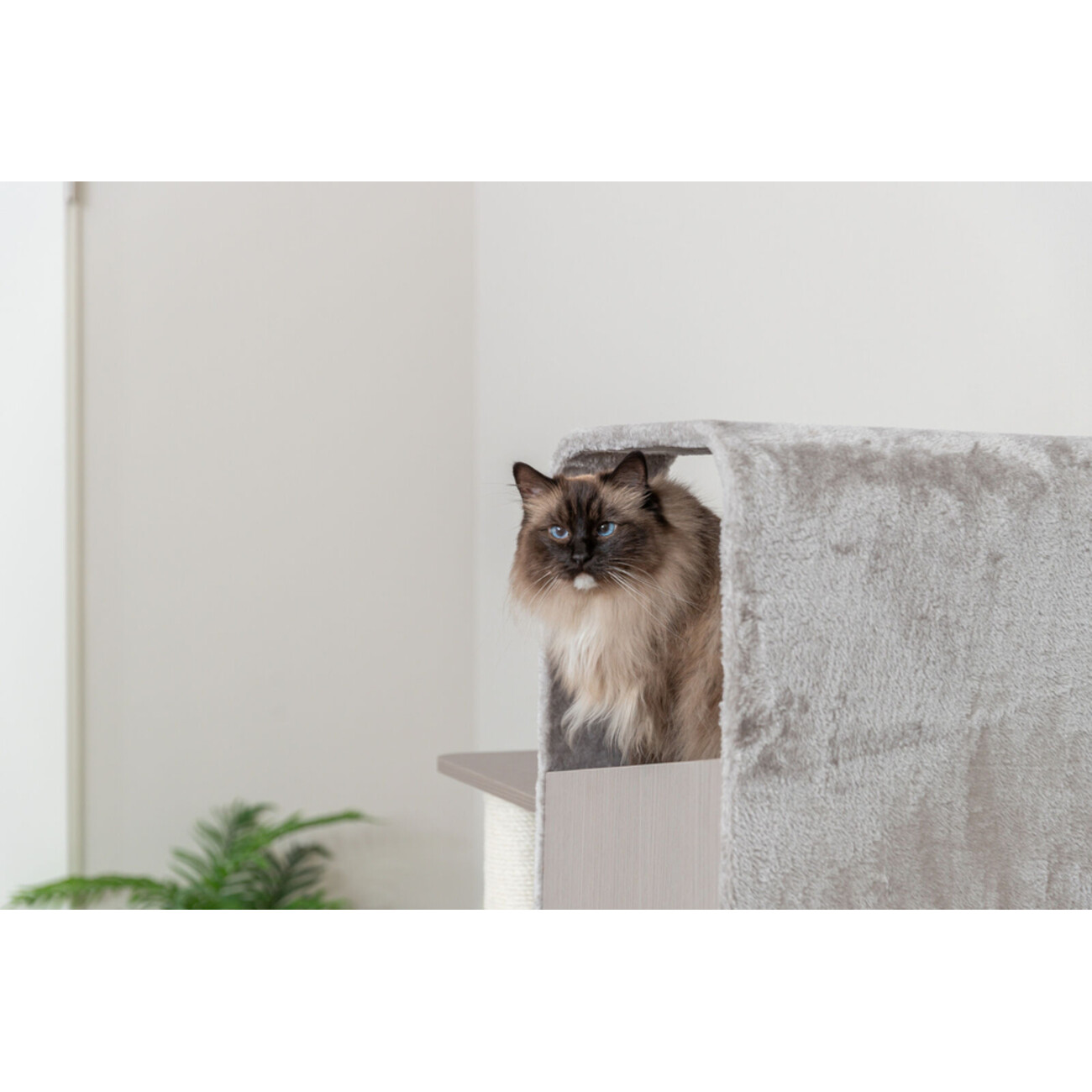 TRIXIE Kratzbaum Marina – Robuster Kratzbaum in Holz-Optik, ideal für mittlere Katzen 🏠 Bild 10