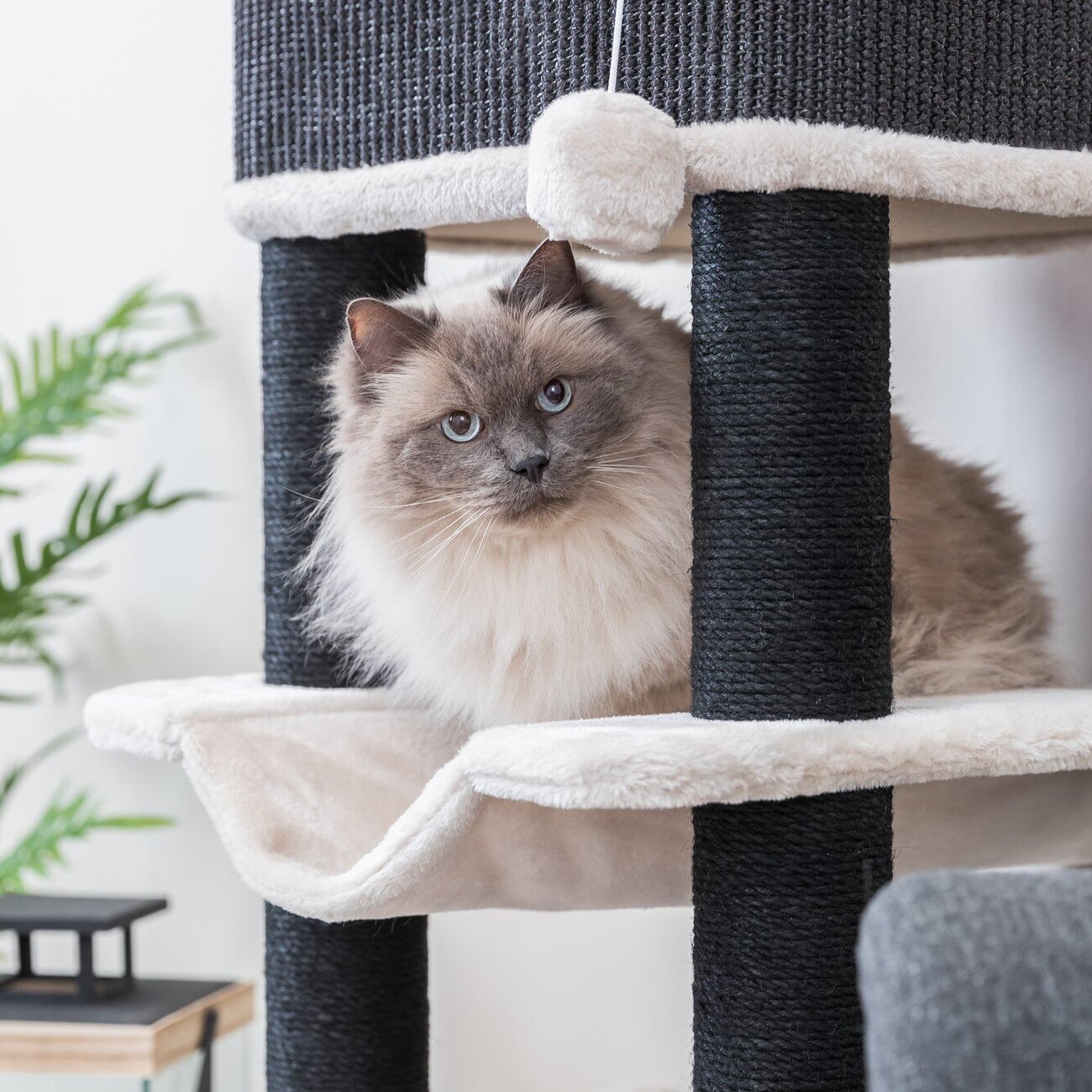 Kratzbaum Ramiro mit Höhle Bild 8