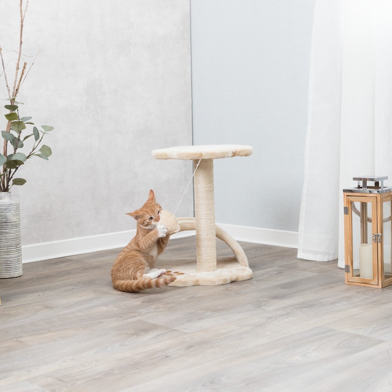 Kratzbaum Vitoria für Kätzchen Bild 7