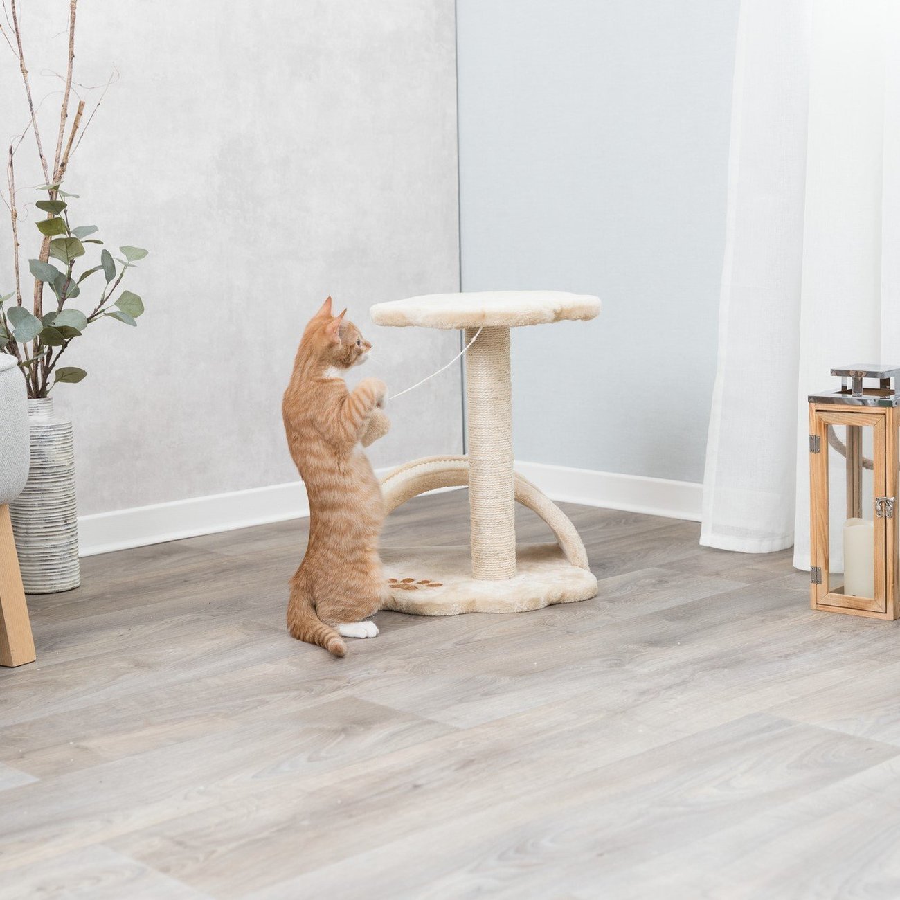 Kratzbaum Vitoria für Kätzchen Bild 2