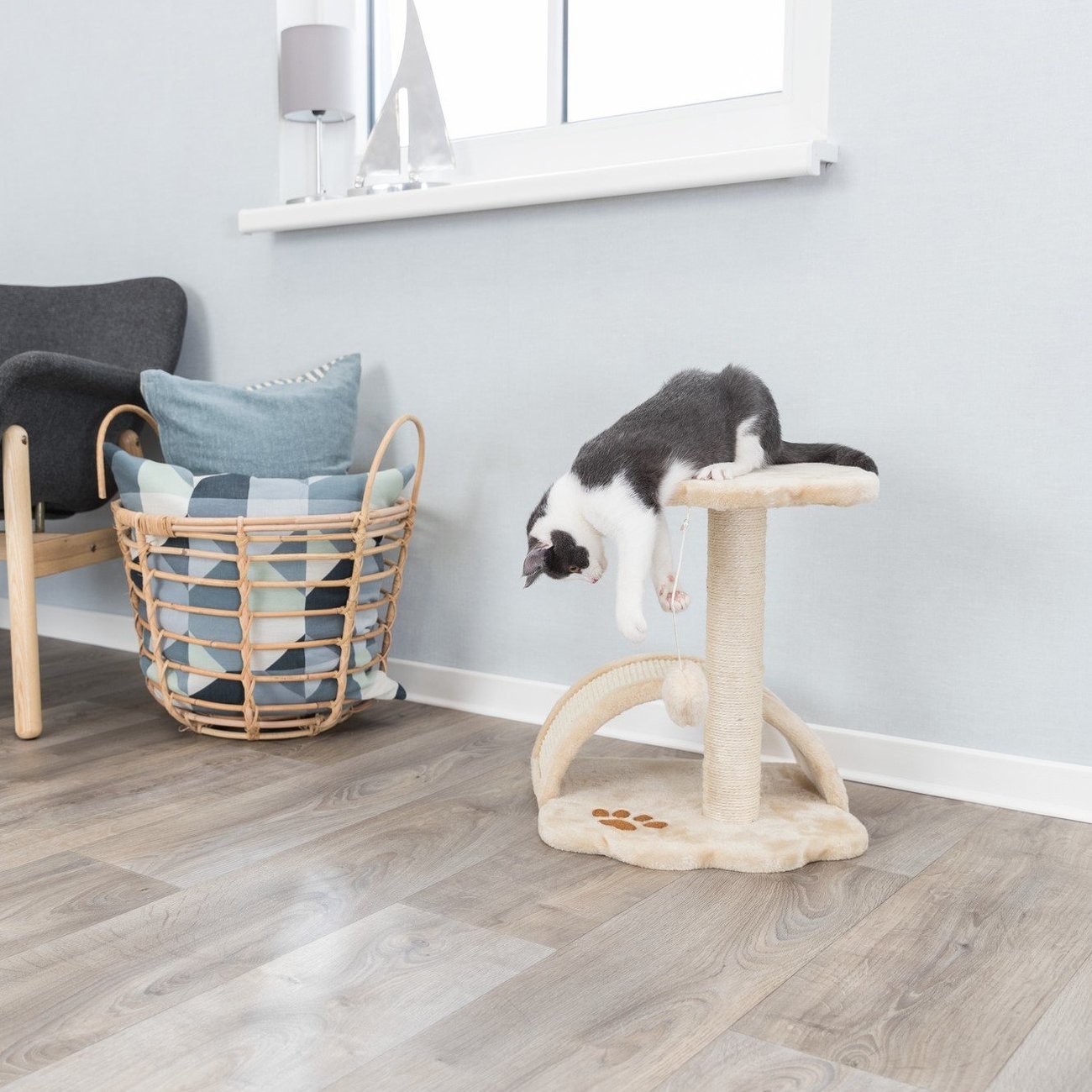 Kratzbaum Vitoria für Kätzchen Bild 5