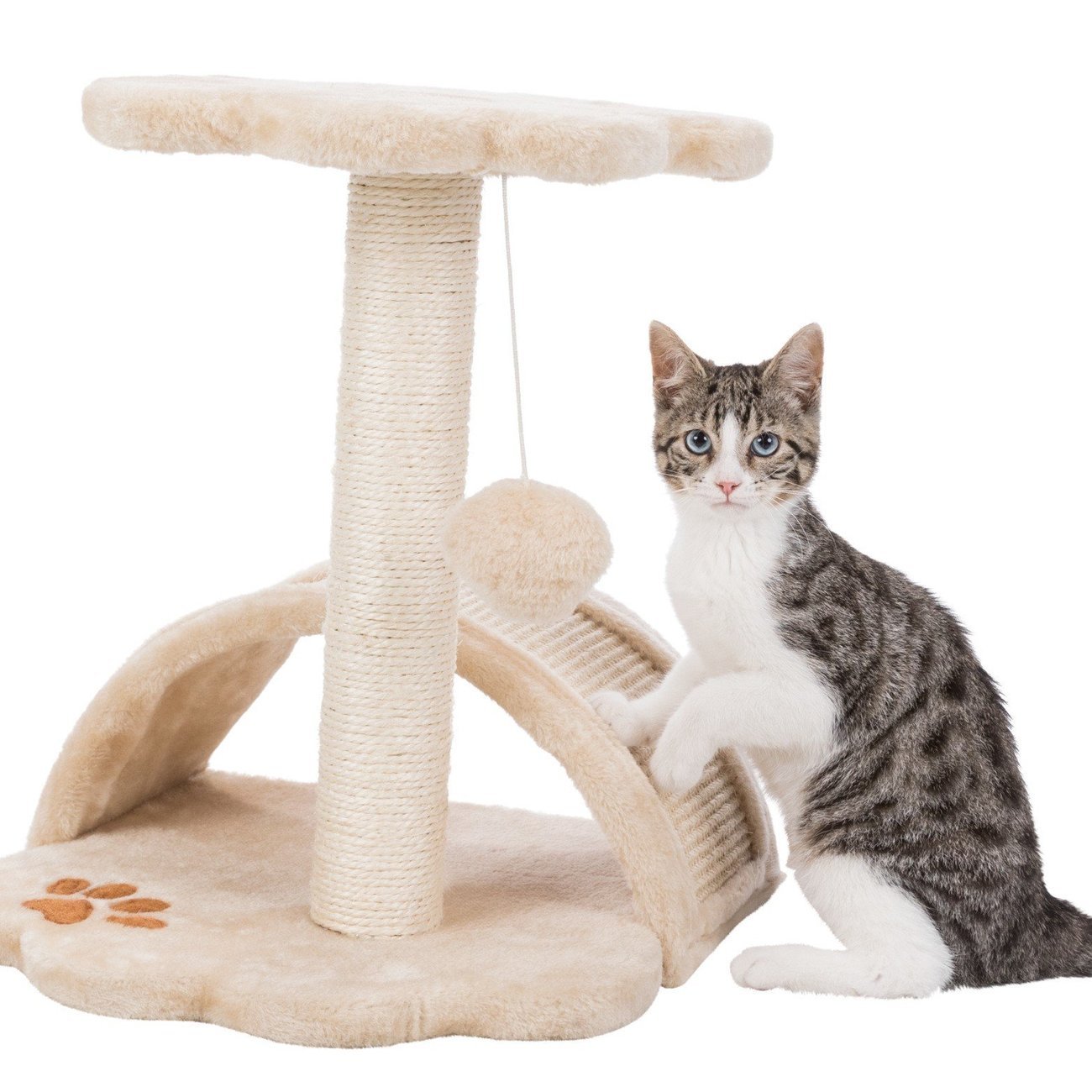 Kratzbaum Vitoria für Kätzchen Bild 9