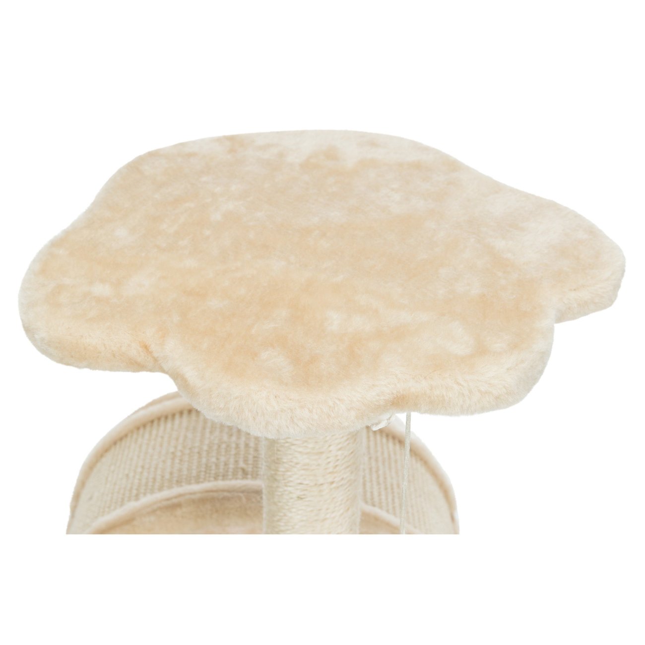 Kratzbaum Vitoria für Kätzchen Bild 10