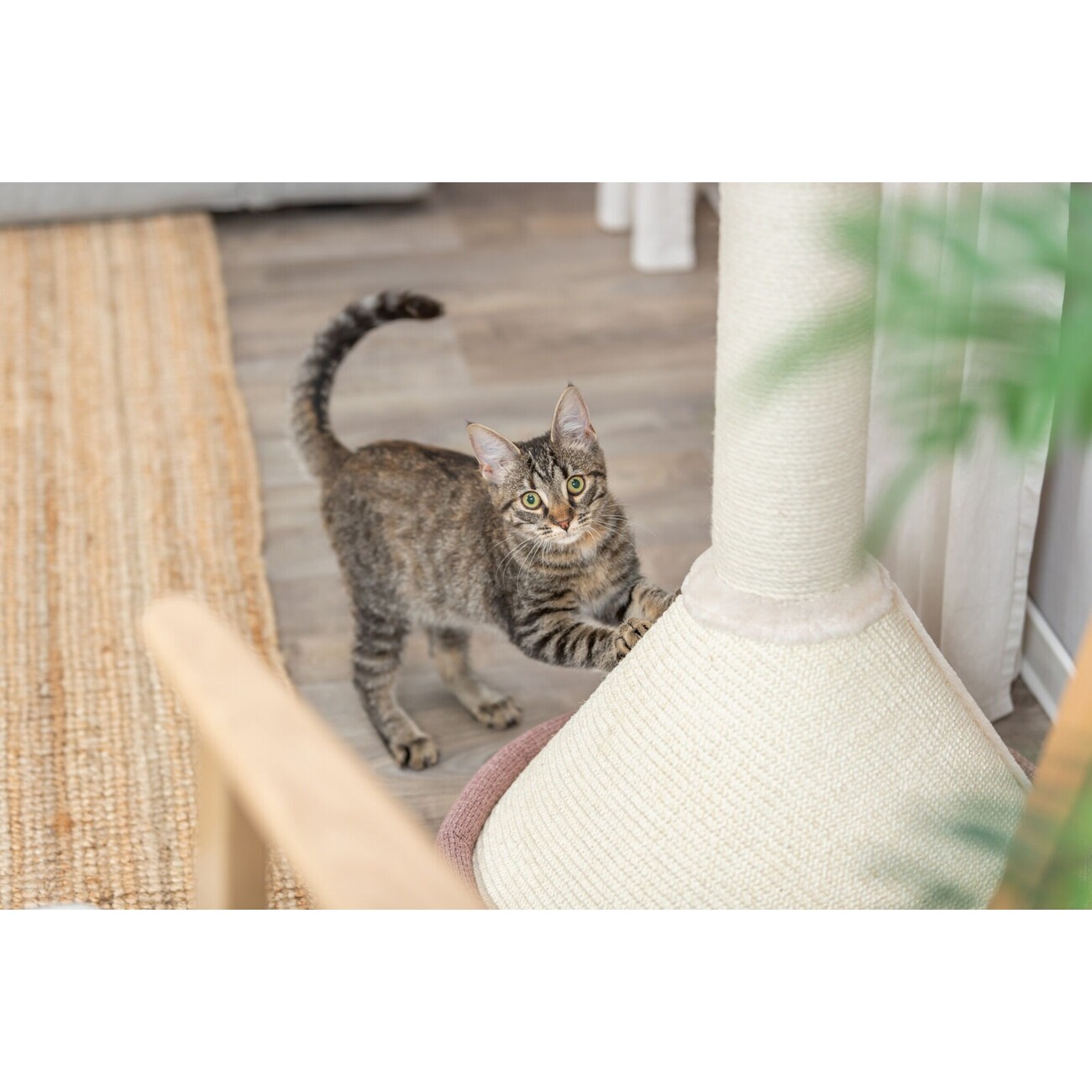 Kratzbaum Viviana Bild 4