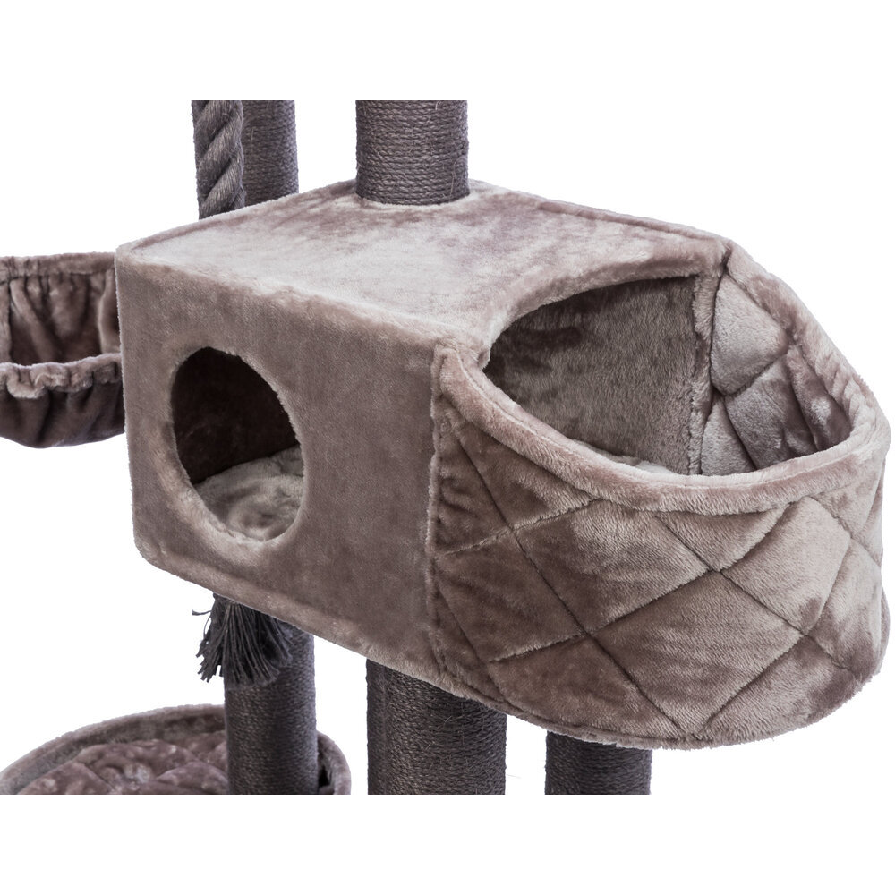 Kratzbaum XXL Andres Bild 6