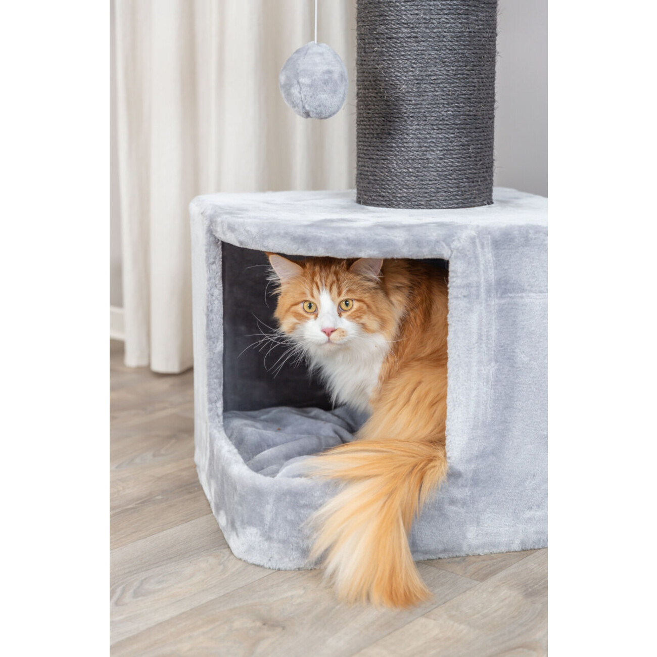 Kratzbaum XXL Ava II Bild 4