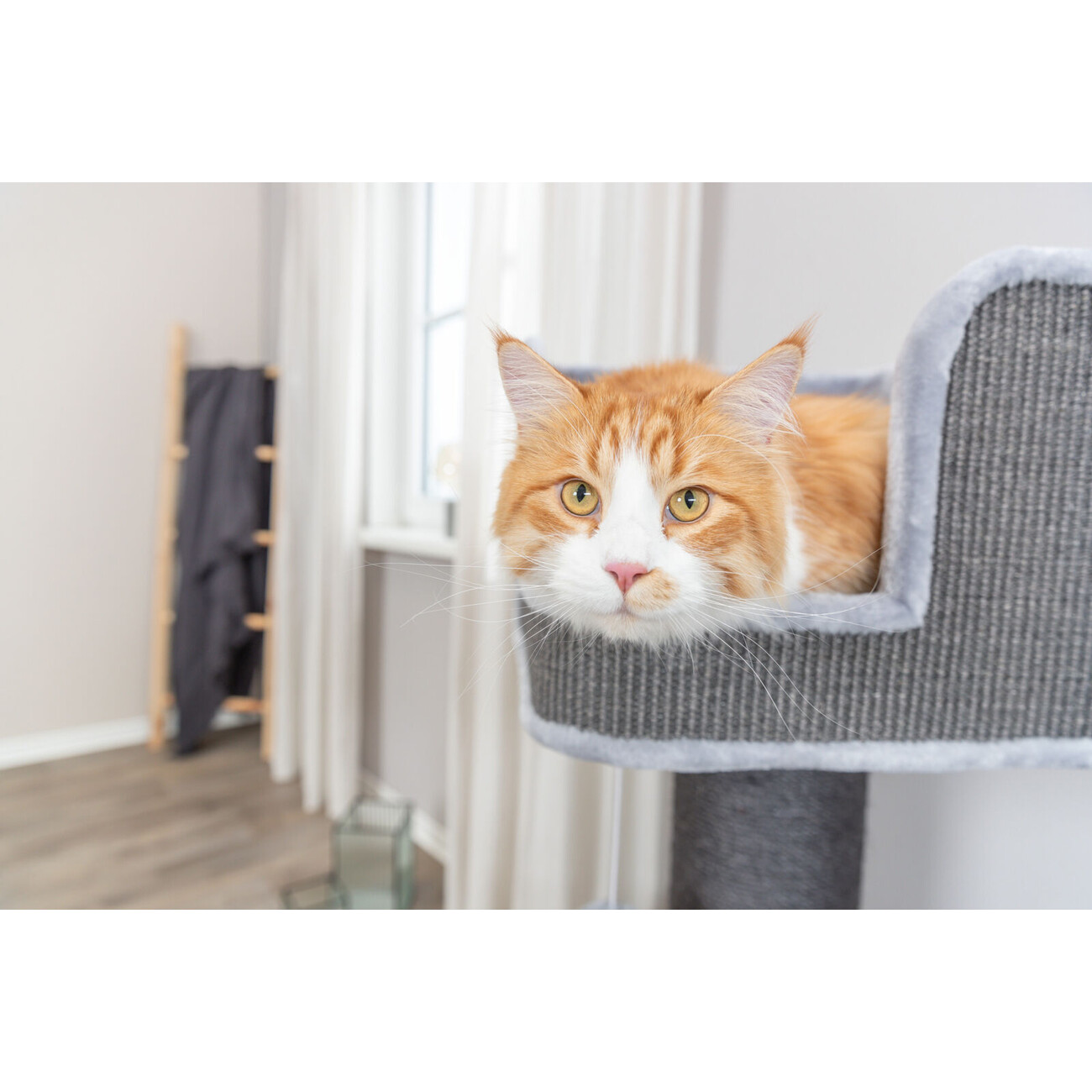 Kratzbaum XXL Ava II Bild 5