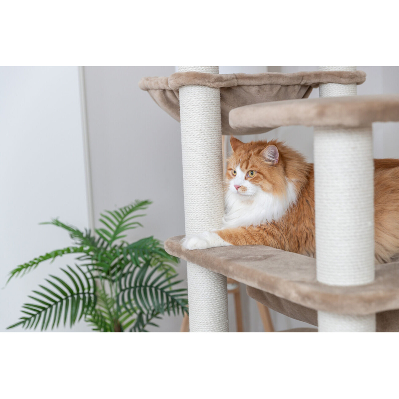 Kratzbaum XXL Brunna Bild 4