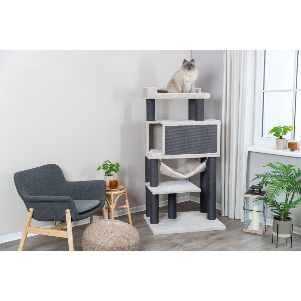 Kratzbaum XXL Maciel Bild 2