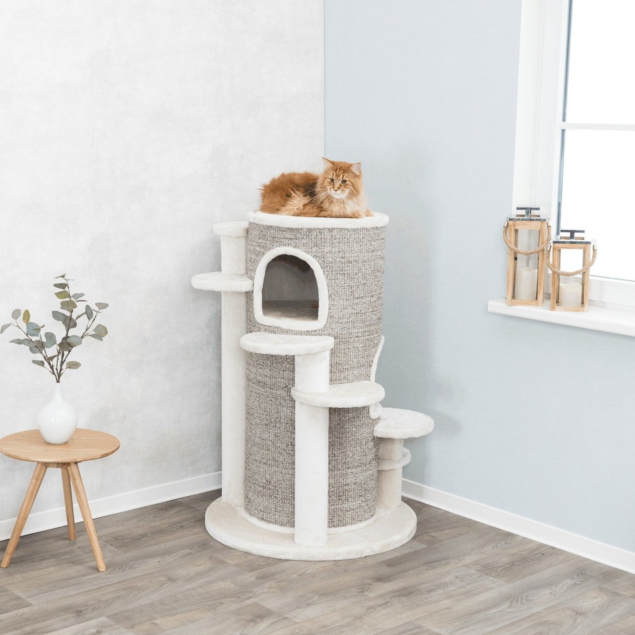 Kratzbaum XXL Oskar Bild 2