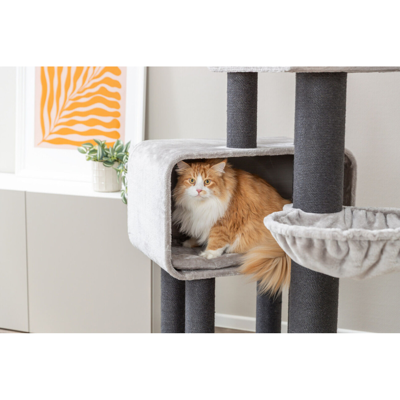 Kratzbaum XXL Rafael Bild 4