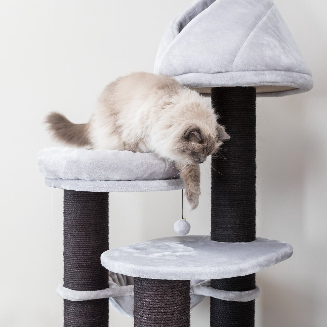 Kratzbaum XXL Tulio Bild 12