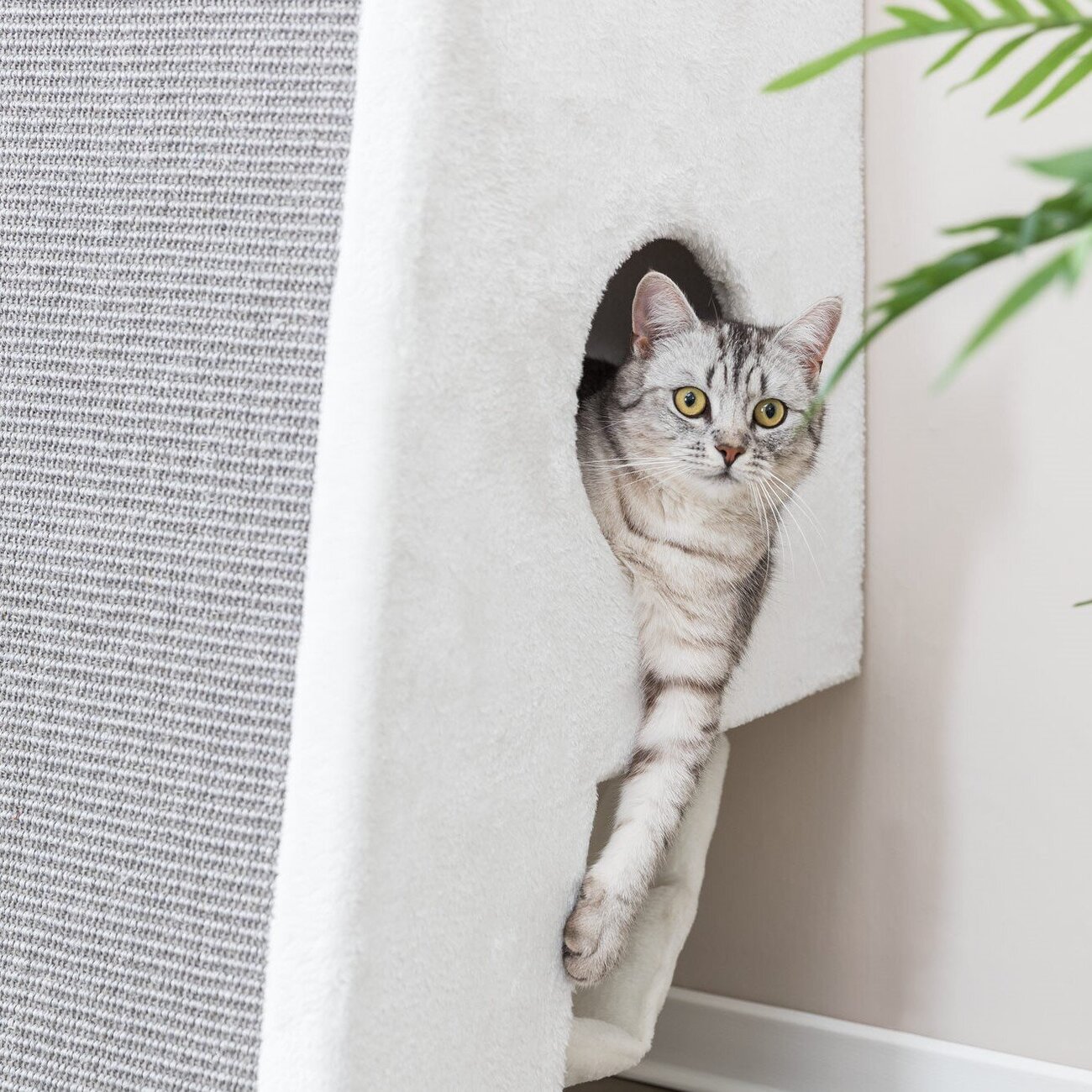 Kratzbaum zur Wandmontage Bild 15