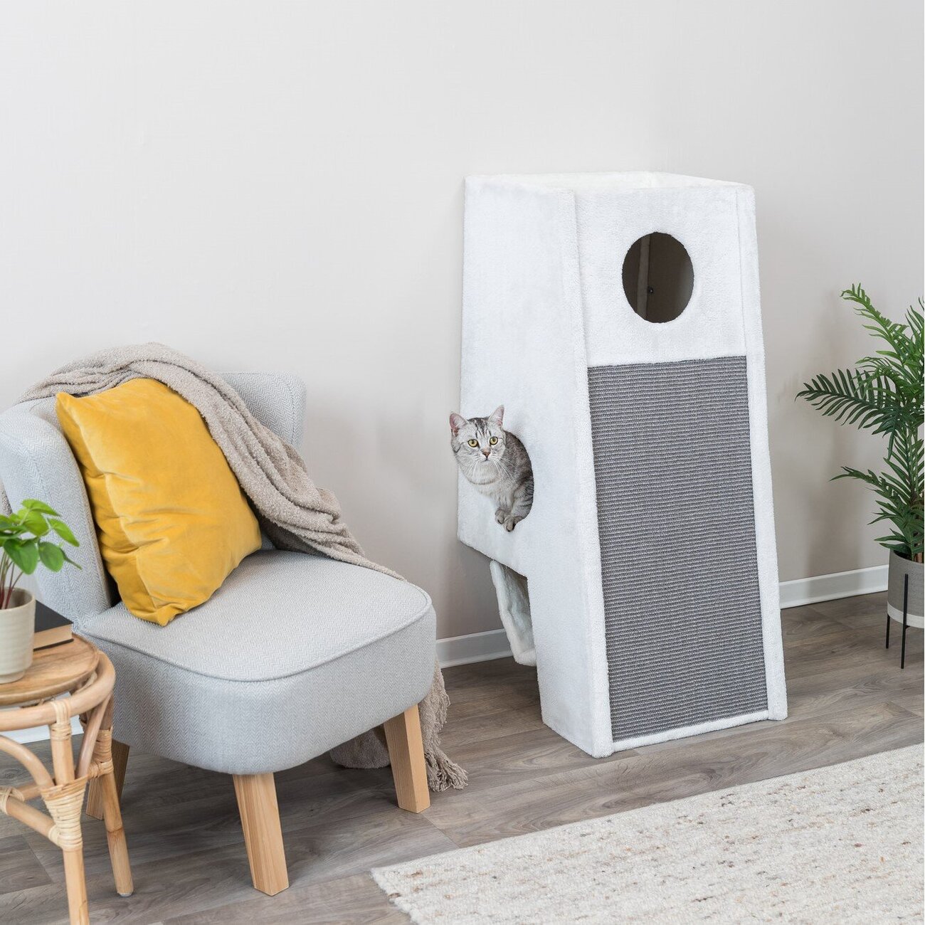 Kratzbaum zur Wandmontage Bild 3